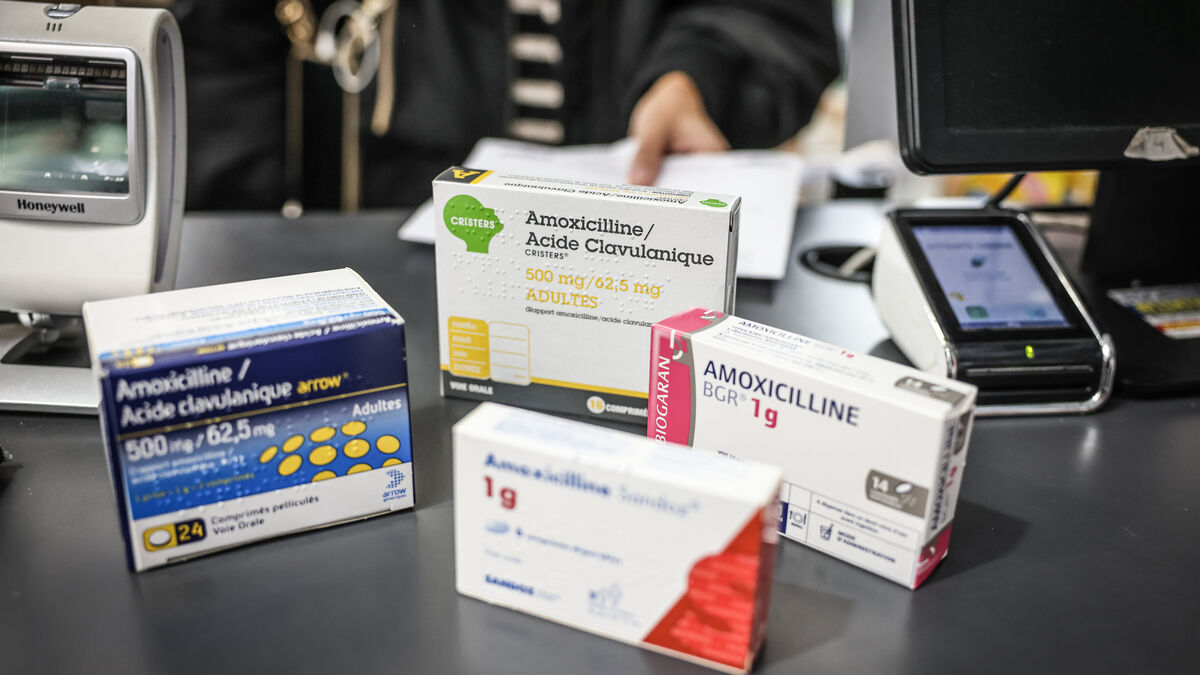 Amoxicilline Zydus France