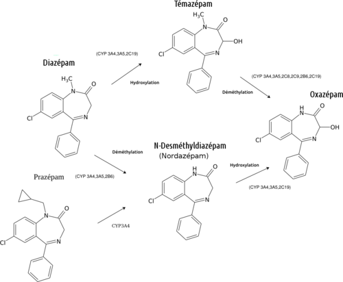 Acheter zaleplon en ligne