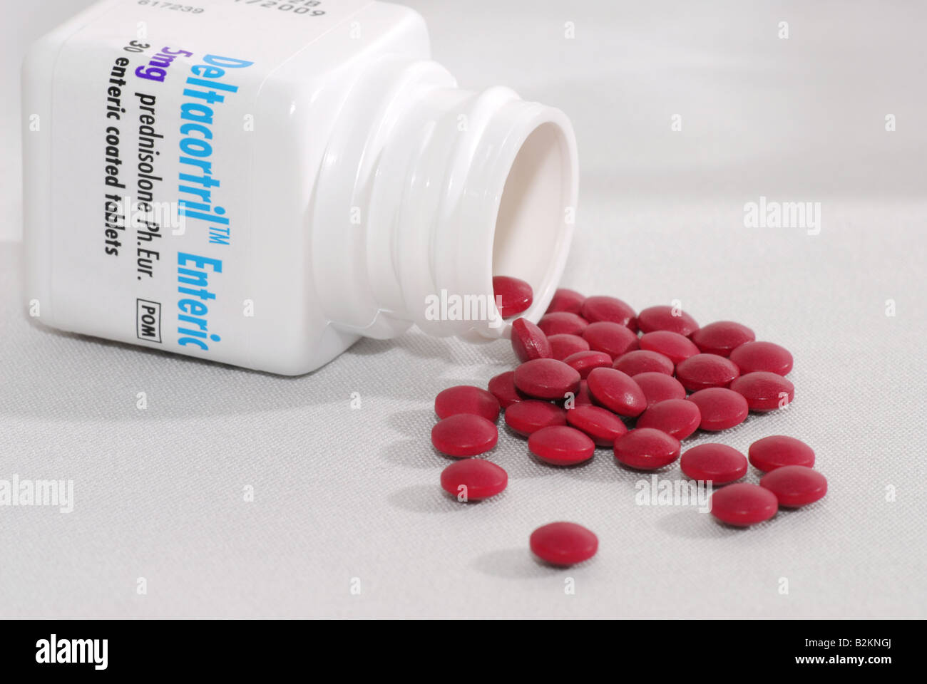Prednisolone Générique