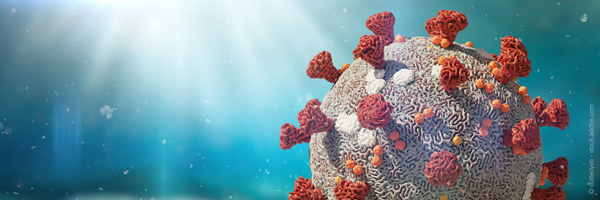 Acheter ivermectine en espagne