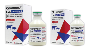 Amoxicilline Chat Achat