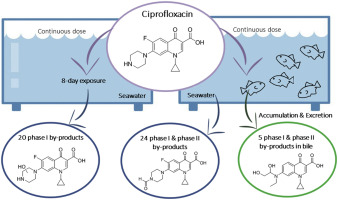 Ciprofloxacin en france