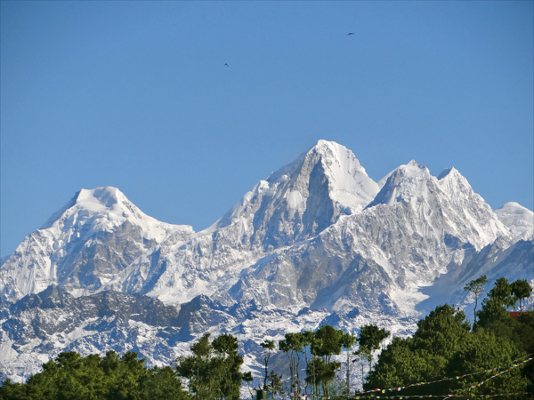 viagra de lhimalaya prix