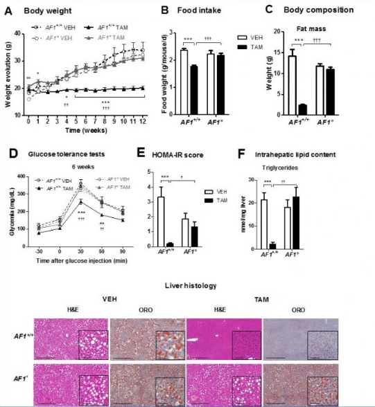 Tamoxifen France Acheter