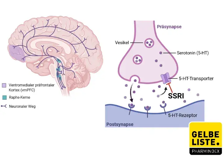 Sertraline 25 Mg Od