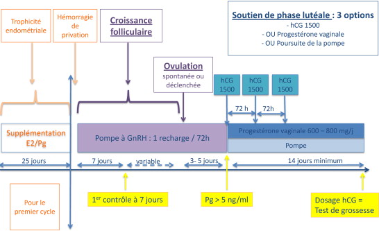 Coût Du Clomiphene