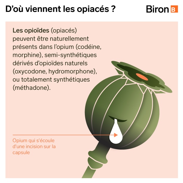 Tapentadol bon marché