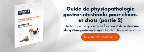 Mectizan Le Moins Cher