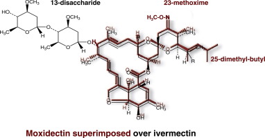 Mectizan 12mg