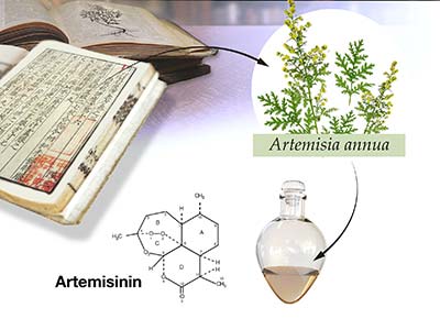 prix nobel ivermectine