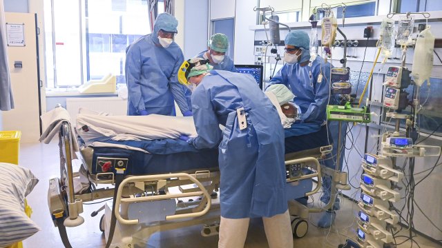 Ivermectine Bon Marché