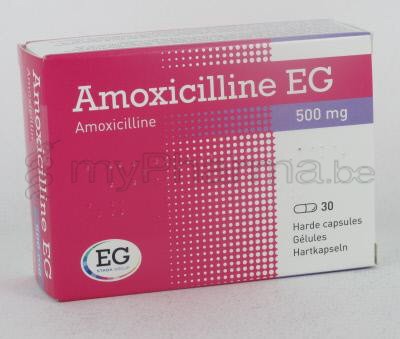 Prix Amoxicilline 500 Mg