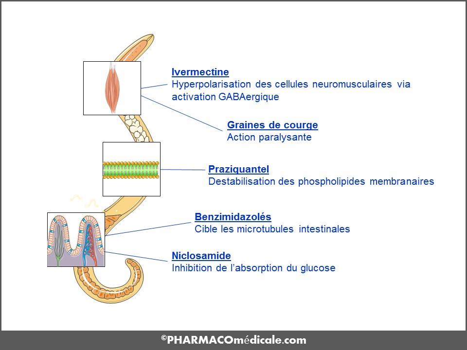 Comment acheter du mebendazole