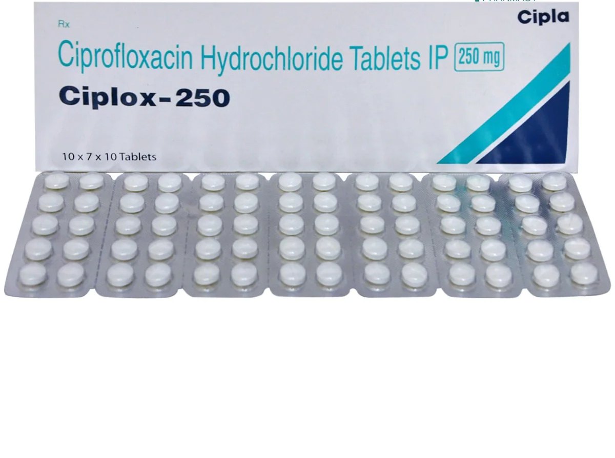 Ordre Cipro