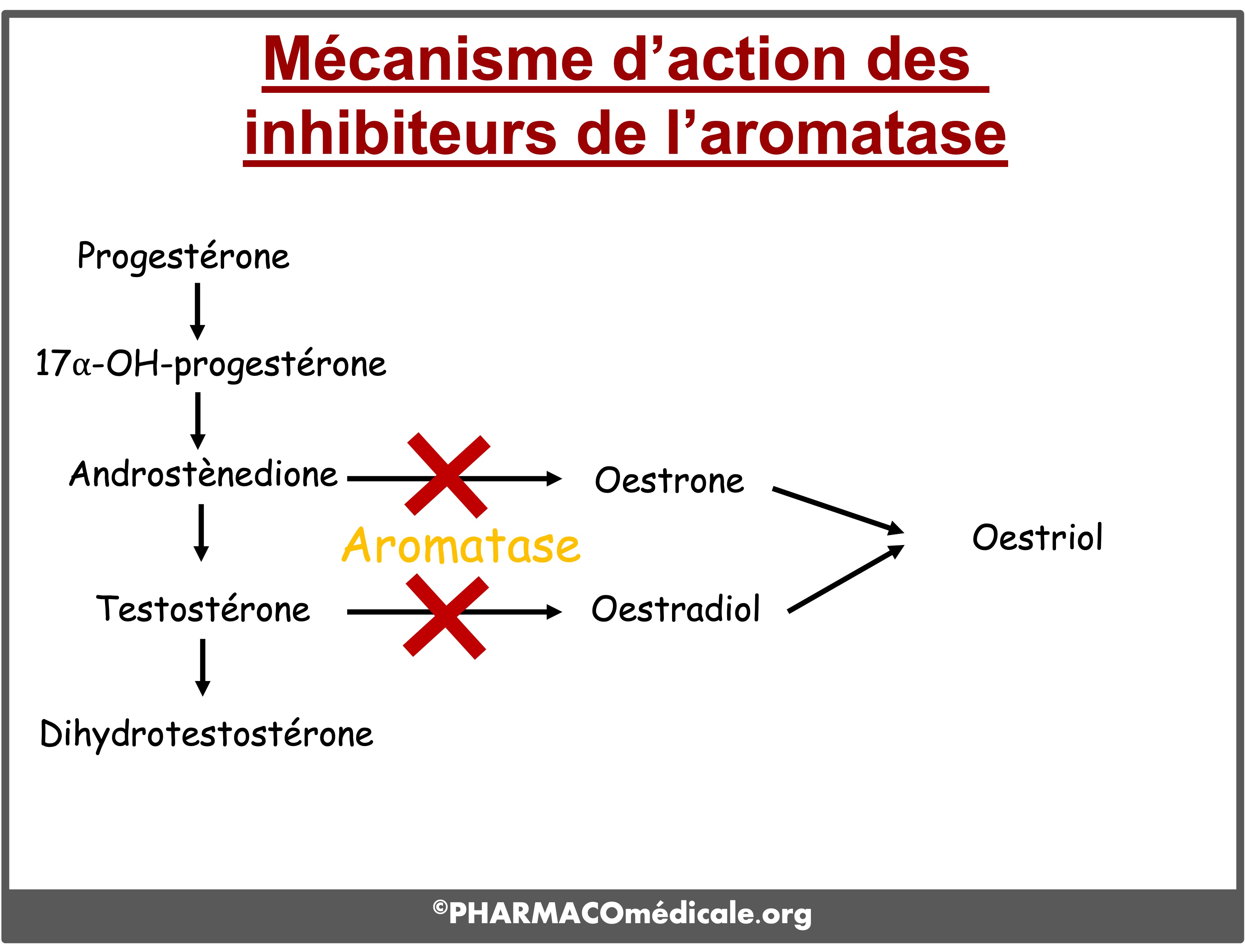 Tamoxifen Bon Marché