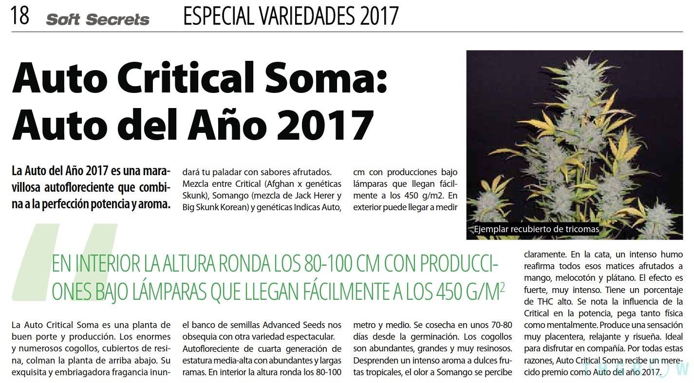 Soma Acheter Online