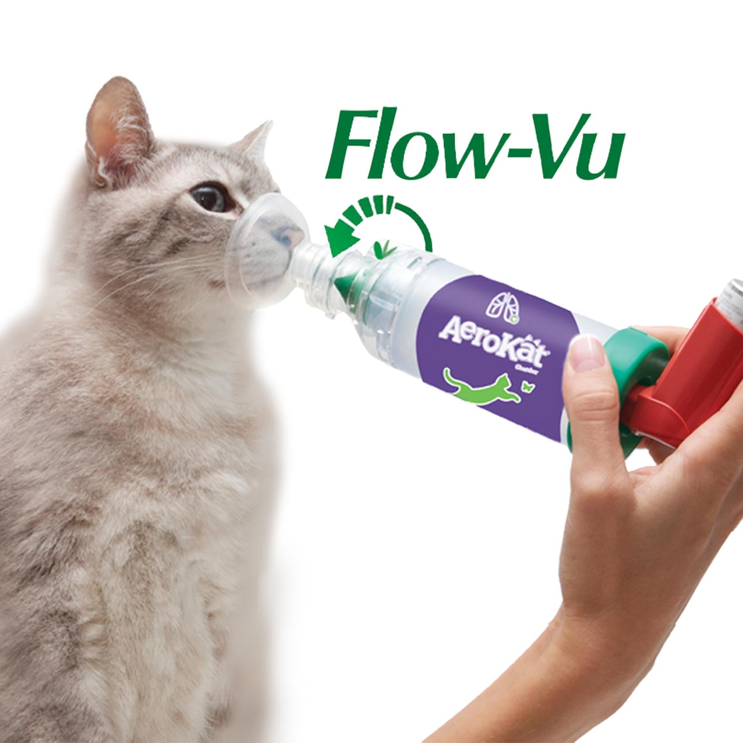 Salbutamol Achat