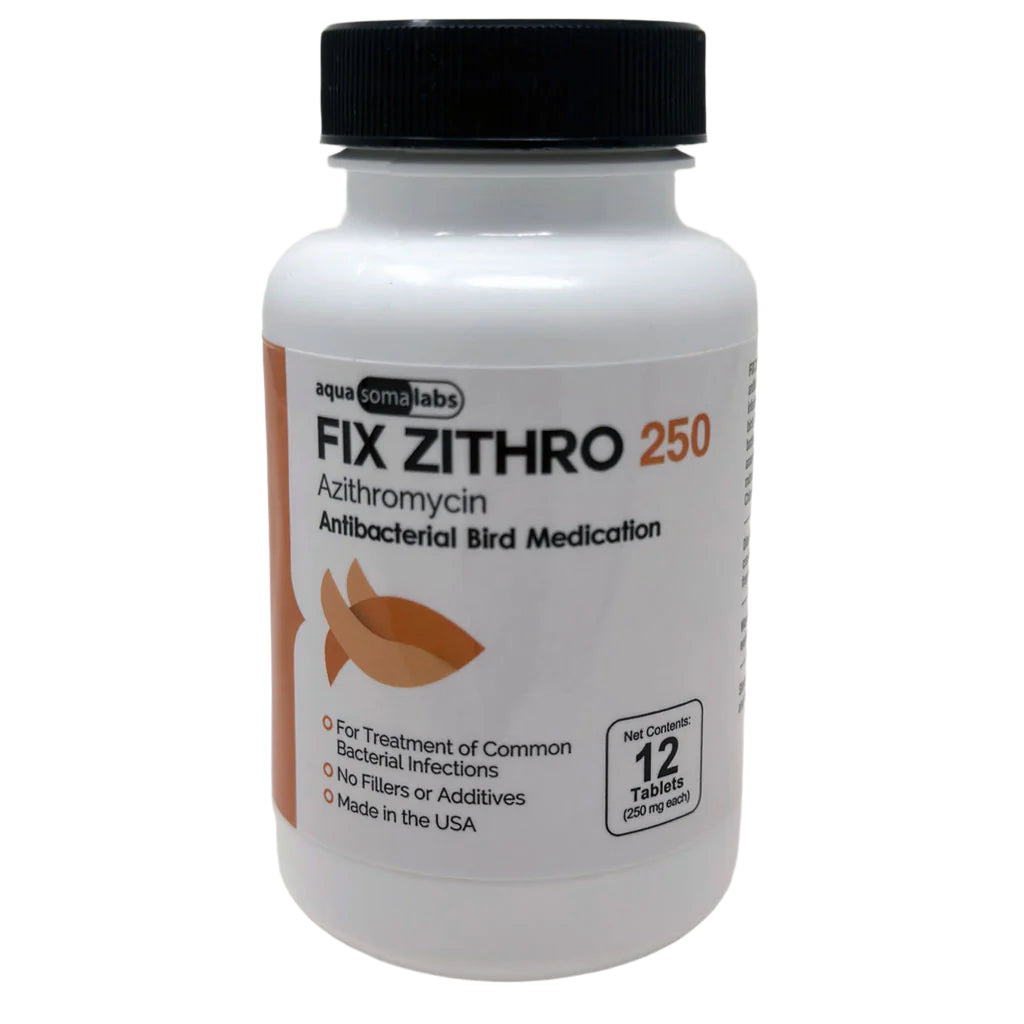 Azithromycin online au
