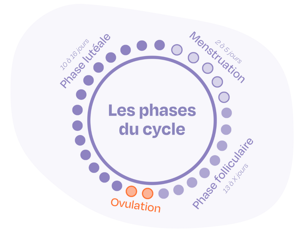 Qui A Acheter Clomid Sur Internet