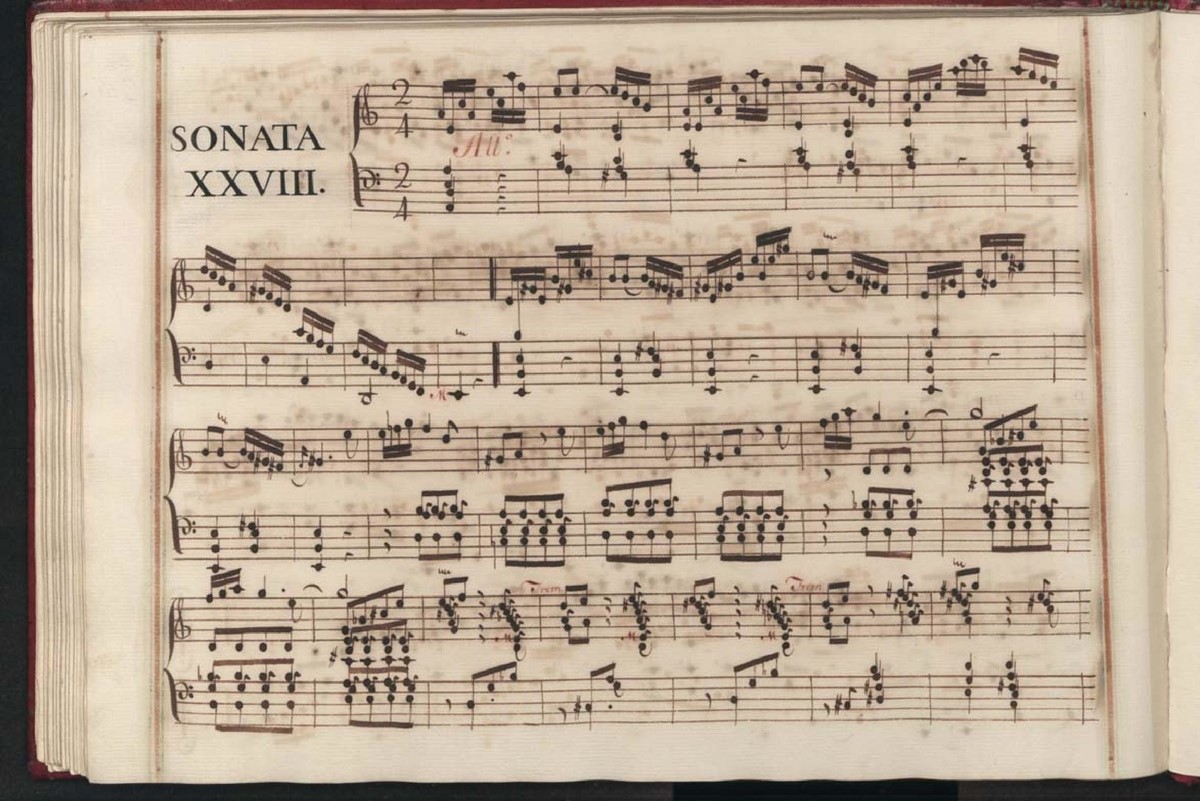 Achat de sonata