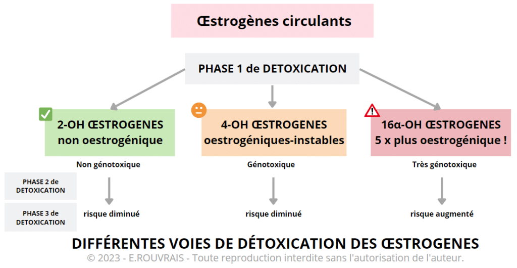 Oestrogènes Conjugués Où Acheter