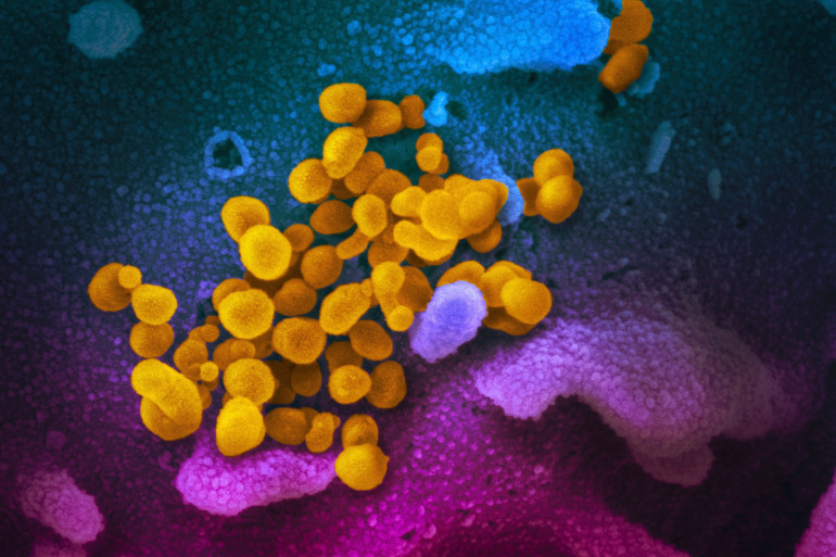 Ivermectin france