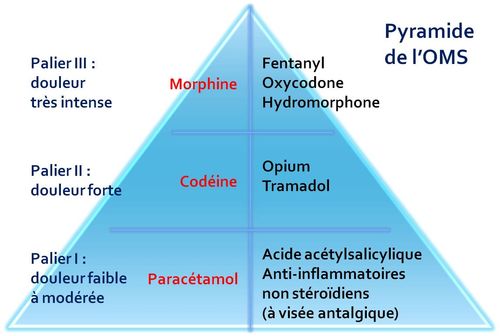 Générique Tramadol