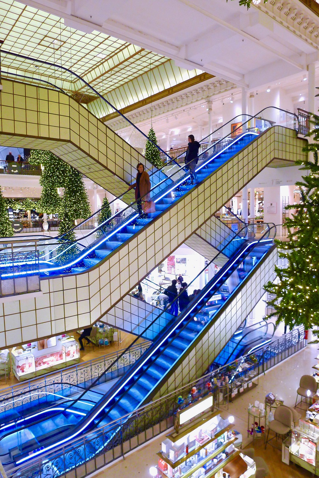 Sildigra bon marché