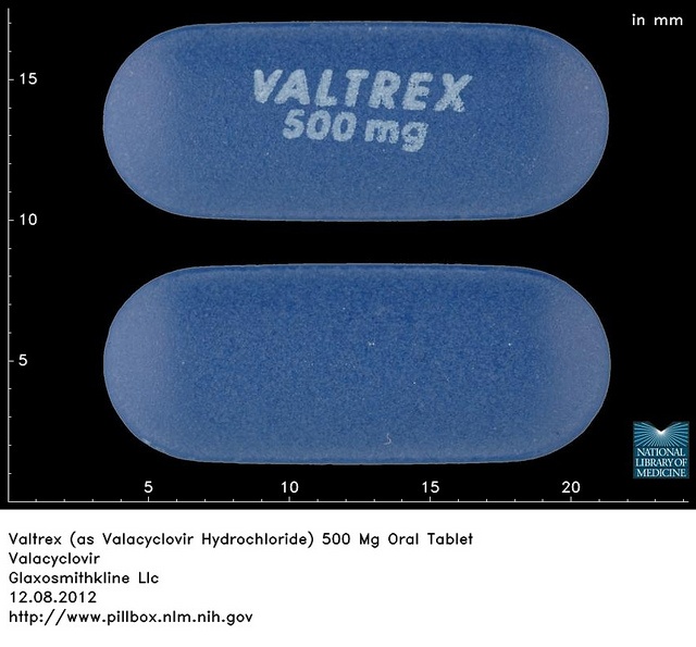 Acheter Du Valacyclovir Générique