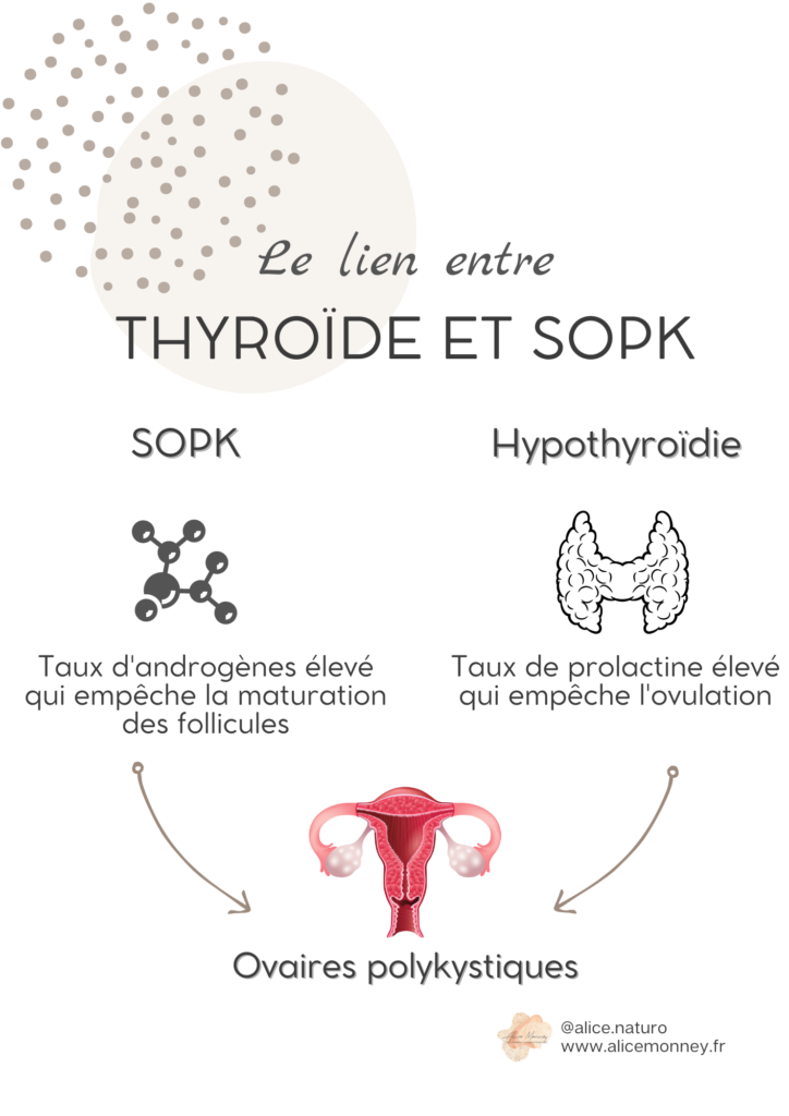 Glucophage 850 Mg Pour Maigrir
