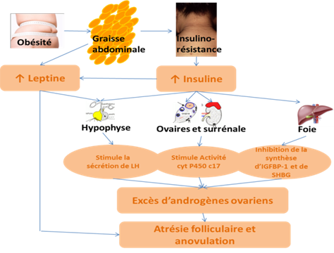Ordre Glucophage