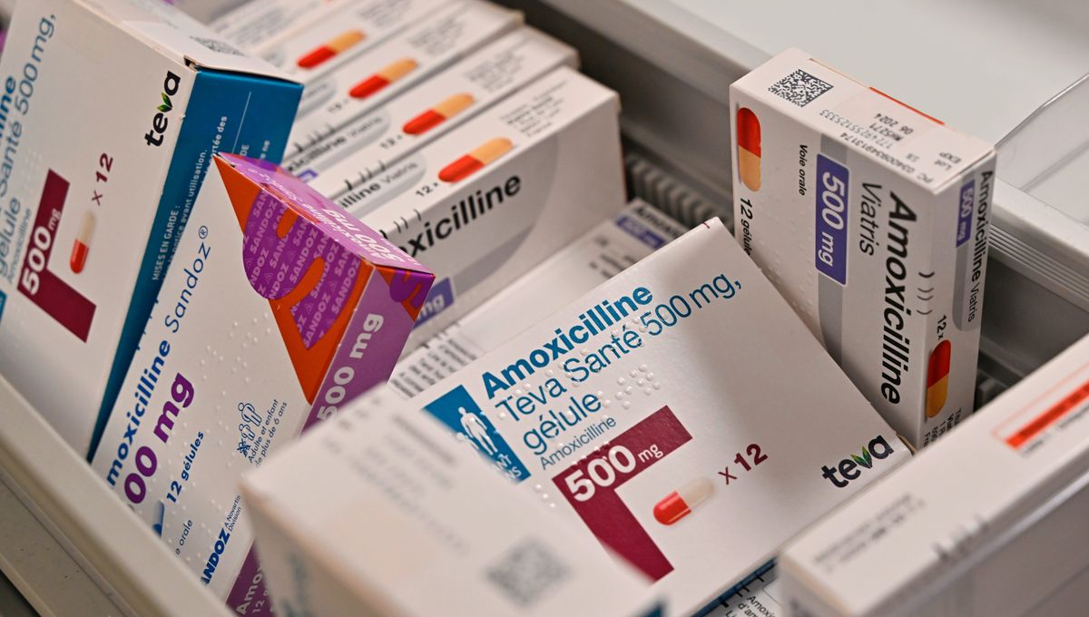 Amoxicilline 500 Mg En Ligne