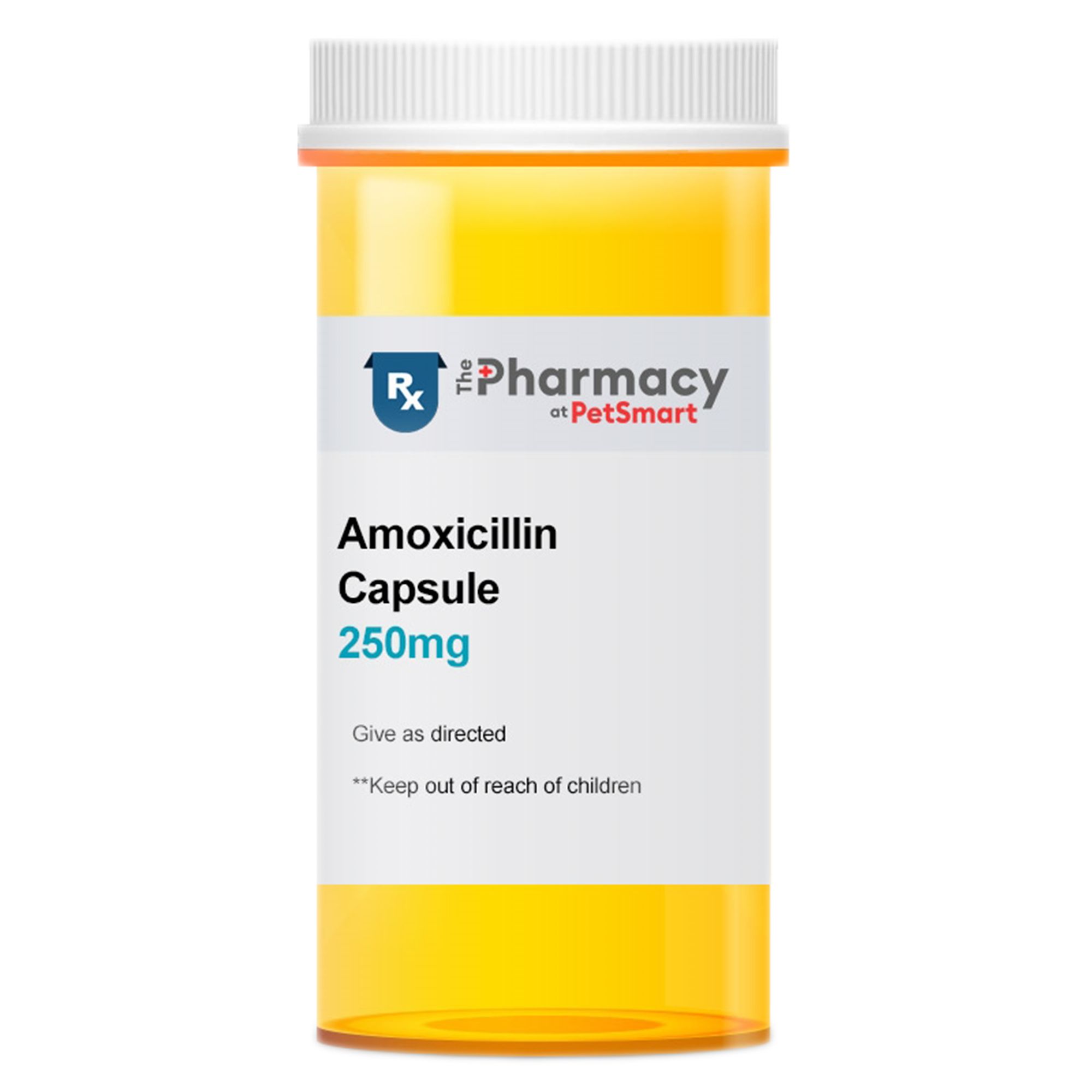 Amoxicillin Online Acheter