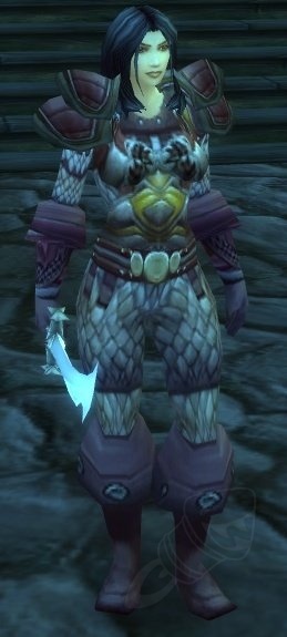 commander du alli