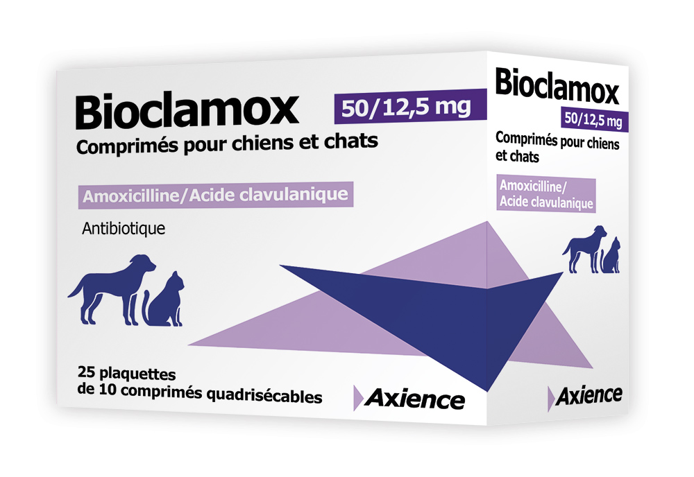 Commander Du Amoxicillin En Ligne