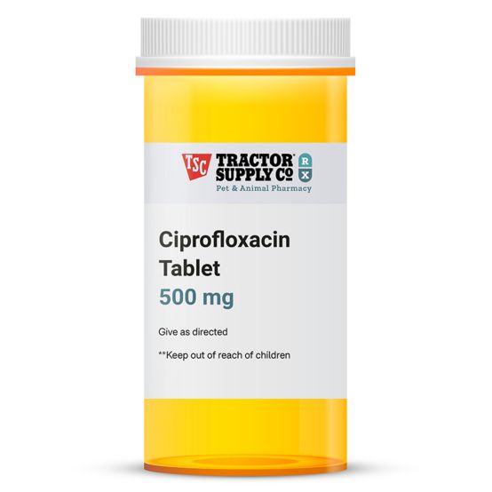 Ciprofloxacin 500 mg ndc