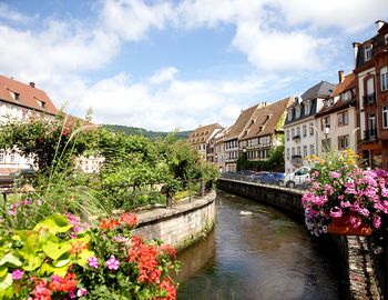 Kamagra en france