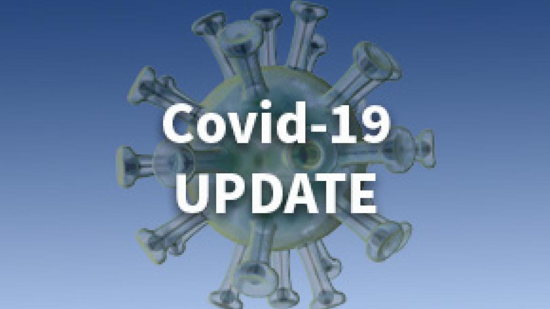 Ivermectin 3mg covid 19