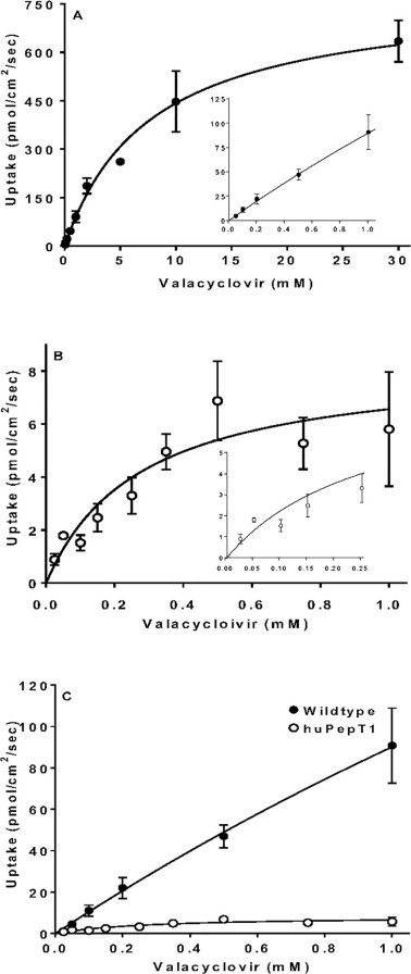 Coût valacyclovir