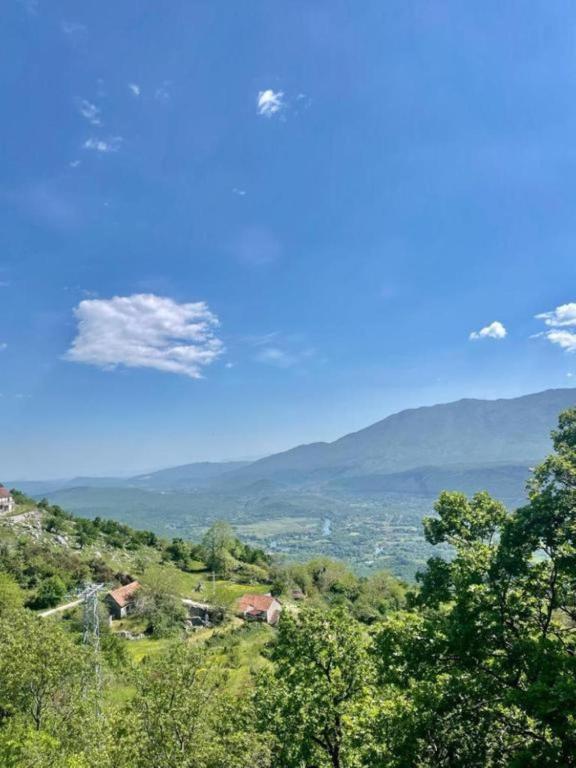 Penegra france