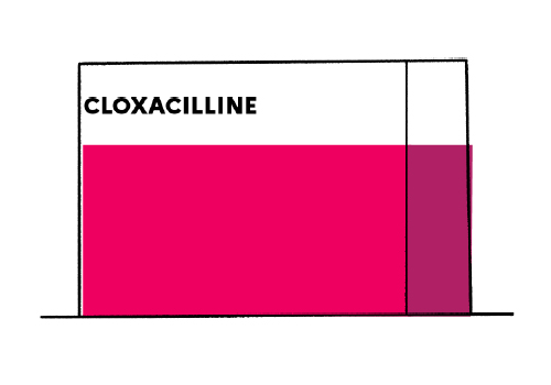 Sandoz Azithromycin 100mg/5ml