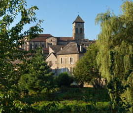 Acheter Silvitra Générique