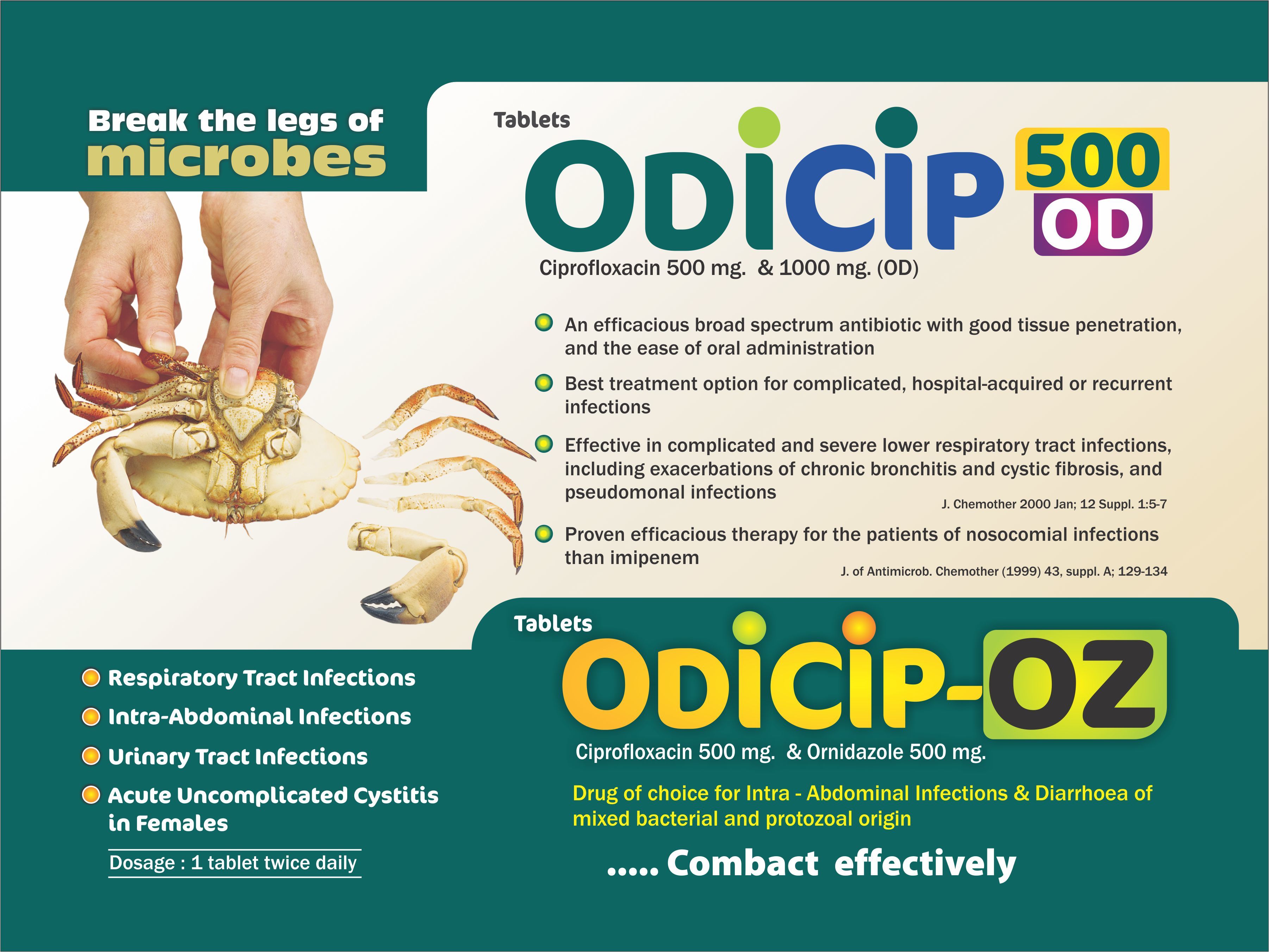 Ciprofloxacin Hcl 1000 Mg