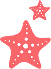 commander diflucan
