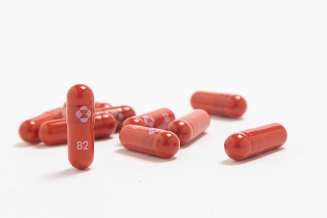Ivermectine pilules