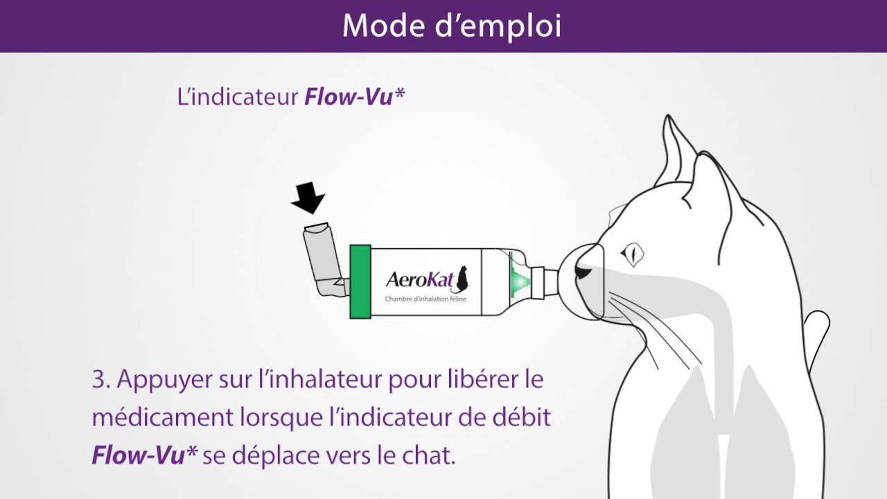 Ventolin puff prix belgique