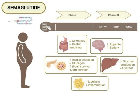 Phentermine In France
