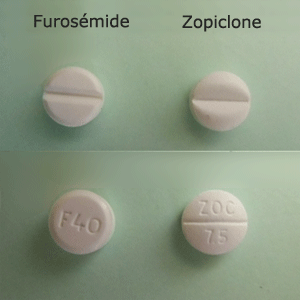 zimovane prix
