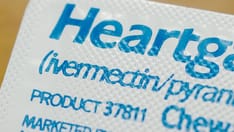 Ivermectin 12mg spc