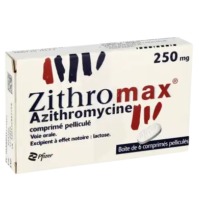 Azithromycin biogaran 250 mg